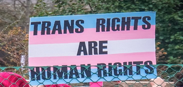 How Transphobic Moral Panics Fuel Authoritarian Politics